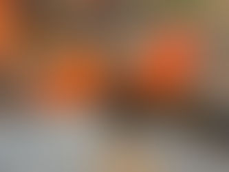 Butea monosperma (Fabaceae) Palasha, Flame of the Forest