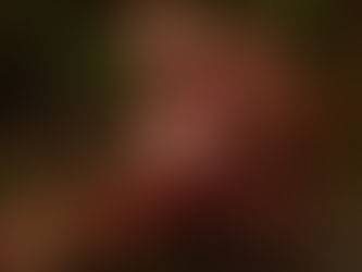 Balanophora involucrata (Balanophoraceae) Wen Wang Yi Zhi Bi, Himalayan Lantern Flower