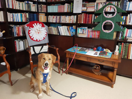 Découvrez un exemple de séance de médiation canine en EHPAD sur le thème de Noël : activités adaptées, stimulation, lien social et bienfaits de la médiation animale auprès des personnes âgées.