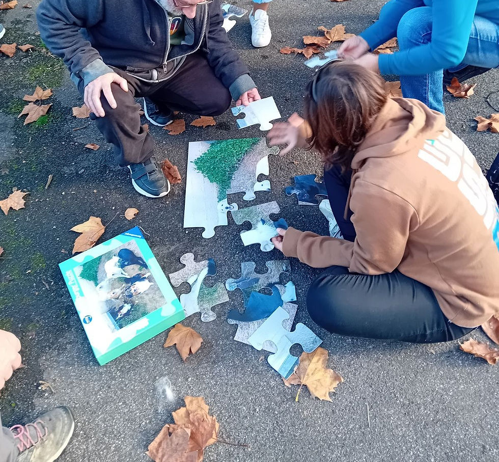 La Médiation Animale avec Anima-Lou : Cohésion, Écoute et Coopération