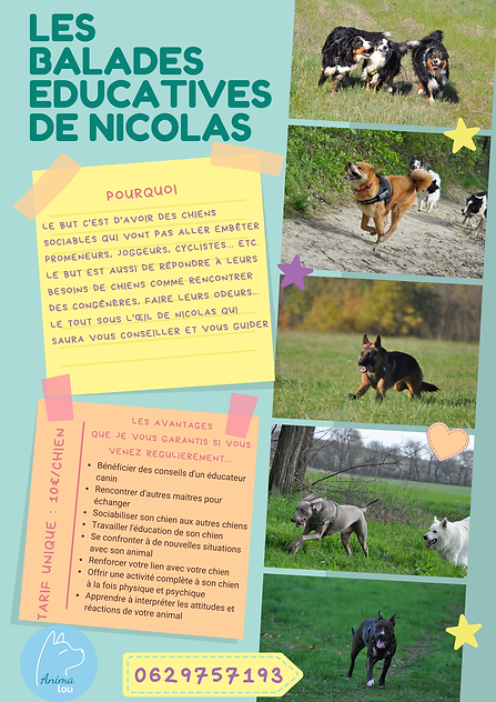 balade educative ariège éducateur canin