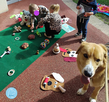 chien médiation animale crèche outils DIY