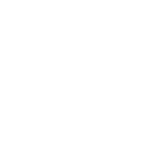 20 year (5).gif