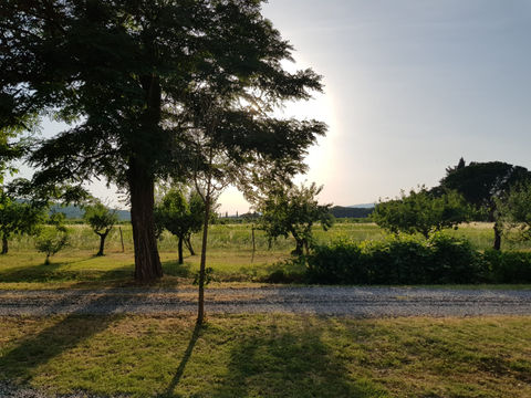 NOER6053.JPG