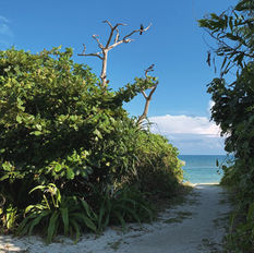 Taketomi | Aiyaru Beach