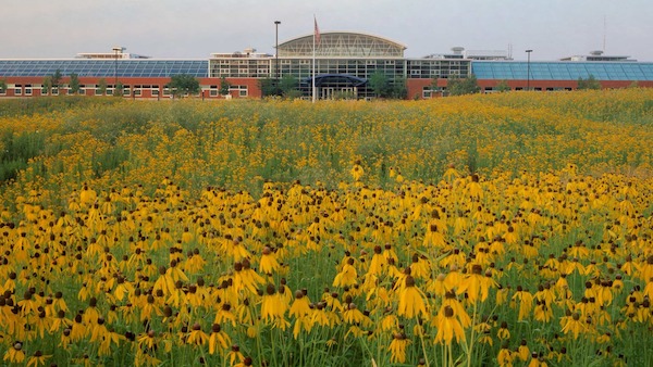 1991年，Herman Miller成為美國綠建築委員會的創始成員；四年後，Herman Miller設立的溫室設施榮獲LEED先鋒建築認證，樹立了產業標竿。