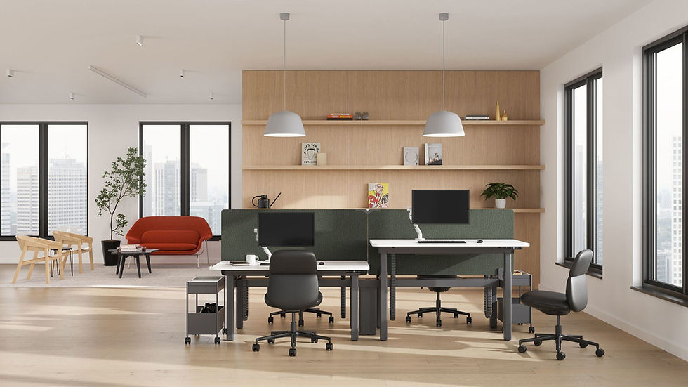 Herman Miller Nevi