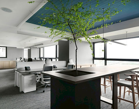 Office 稻盛國際辦公室,Hsinchu