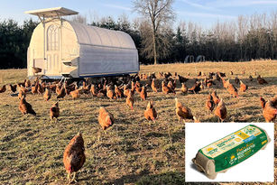 Regenerative egg production amongst special projects funded in KY