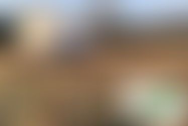 Regenerative egg production amongst special projects funded in KY