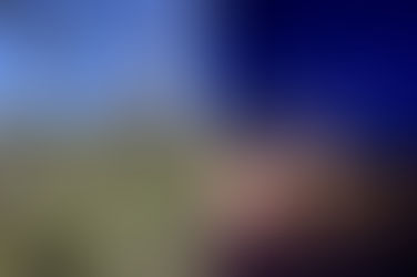 Devastating crop losses caused by freezing temperatures in Virginia