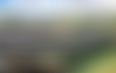 University of Maryland research shines light on agrivoltaics