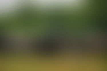 Large animal veterinarians in NC may apply for grant funds