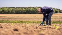 Georgia farmers are being surveyed on current economic challenges
