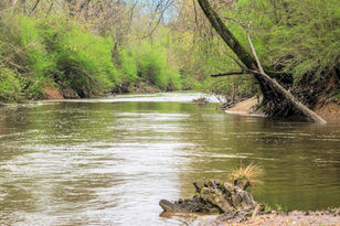 $240 million dedicated to support on-farm conservation projects in NY State