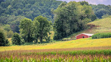 Farmland preservation finds broad support in North Carolina