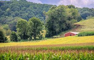 Farmland preservation finds broad support in North Carolina