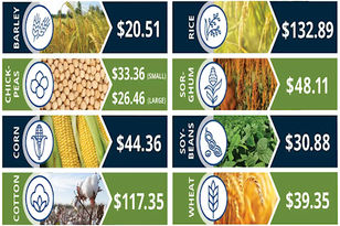 "Bridge" payments announced for crops