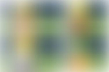 "Bridge" payments announced for crops