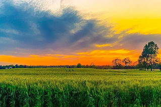 Economic storm worsens for America’s farmers