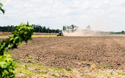 Farmers should expect slightly higher input costs in 2026, especially for fertilizer, chemicals, equipment, and labor. Image credit - Mark Stebnicki