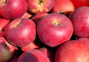 Specialty Crop application window opens in KY