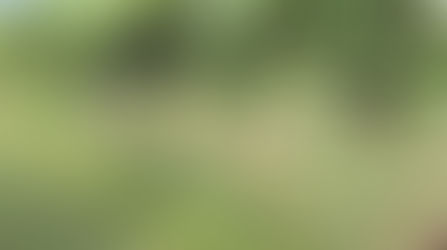 PA vineyards focused on soil health and cover crops