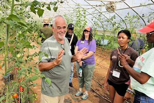 Brian Marshall, owner of Greenfield Organic Farms, showed off his high-tunnel growing system. Image Credit - Clemson University