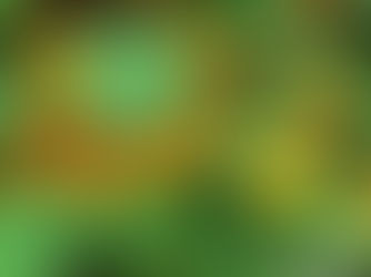 Edible flowers have budding health and market potential 