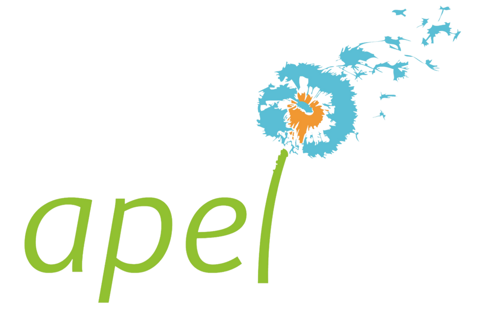 Réunion APEL