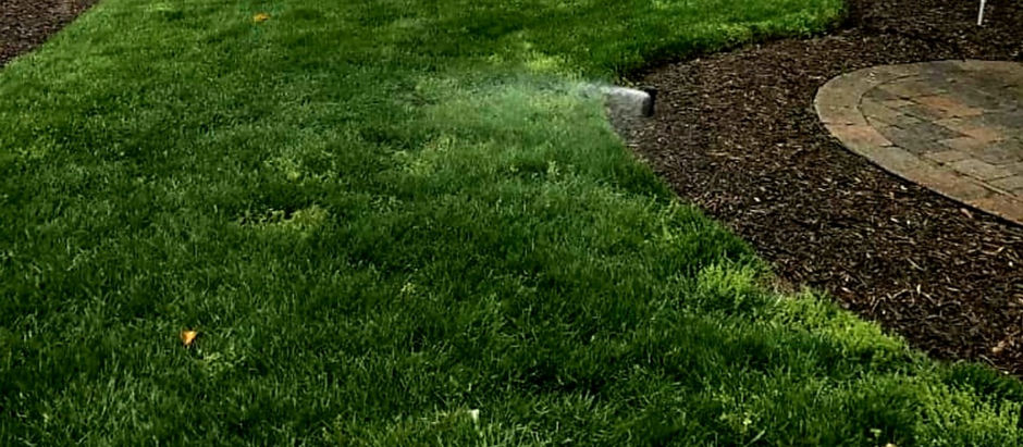 Why Irrigation is Kind of A Big Deal