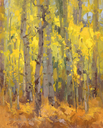 Aspen Splendor 1920 copy.jpg