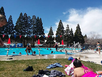 Public Swim.jpg