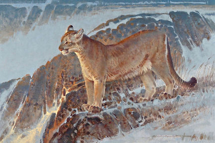 Surveyor 24x36 oil on linen (C) Jim Morg