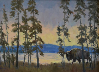 Yellowstone Bison.jpg