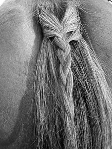 IMG_2653_edited.jpg