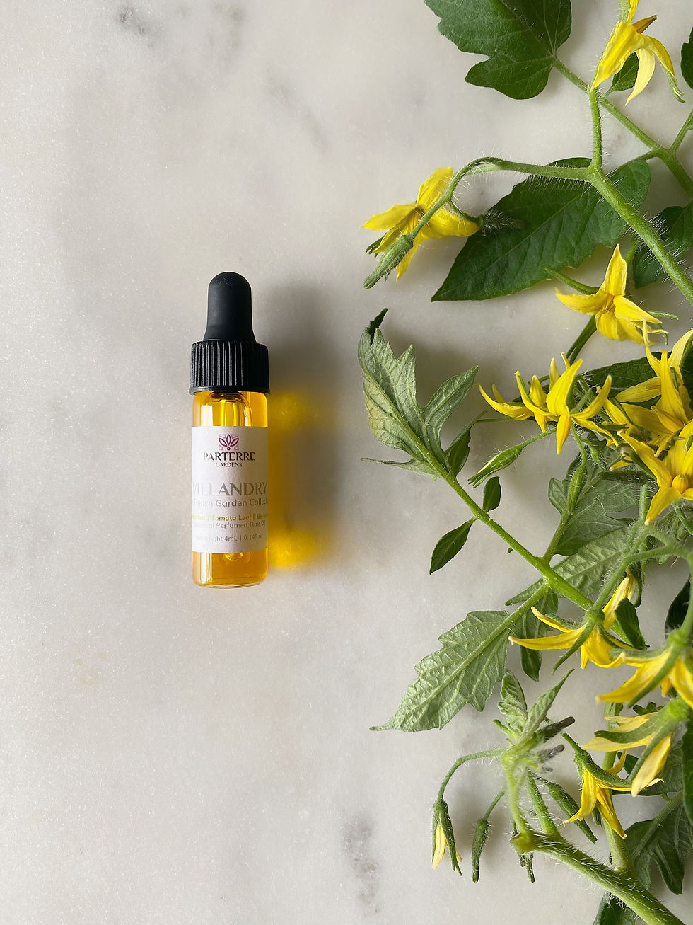 Thumbnail: Villandry Perfumed Hair Oil