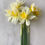 Thumbnail: Argent Daffodil Bulbs