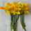 Thumbnail: Jetfire Daffodil Bulbs