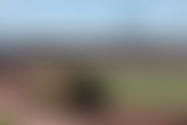 Countdown To Tankfest