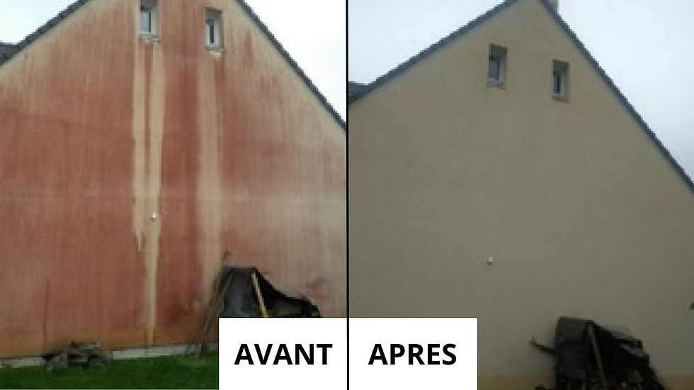 NETTOYAGE FACADE DRONE