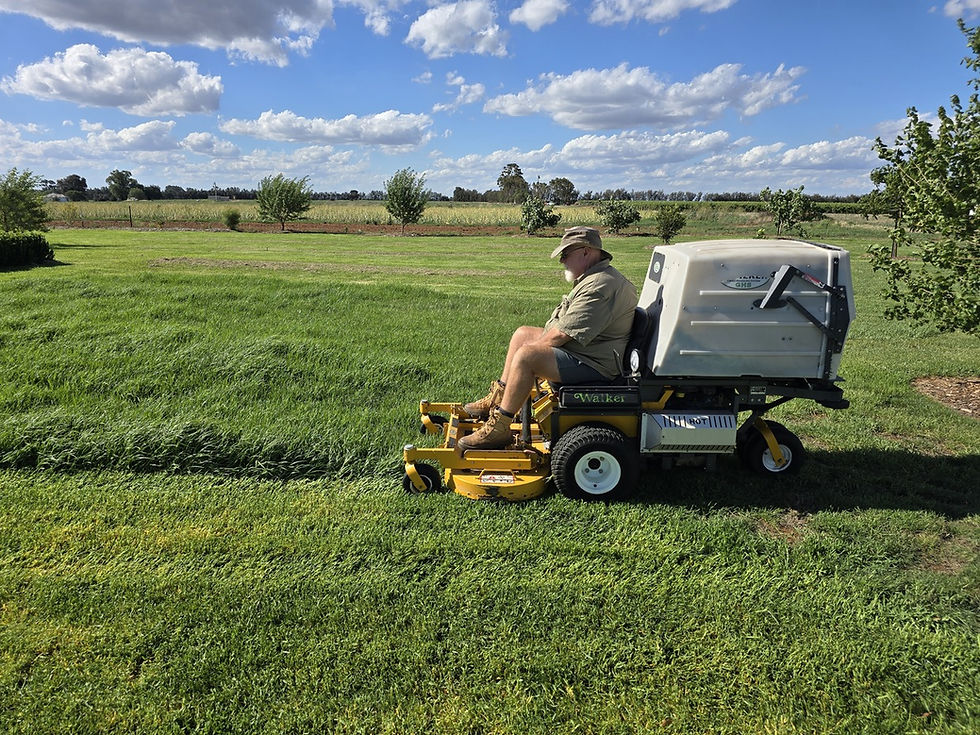 Ride on lawn mower