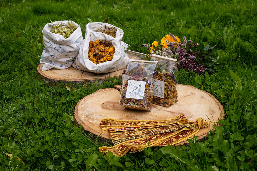 10 Vaidalotes-67.jpg