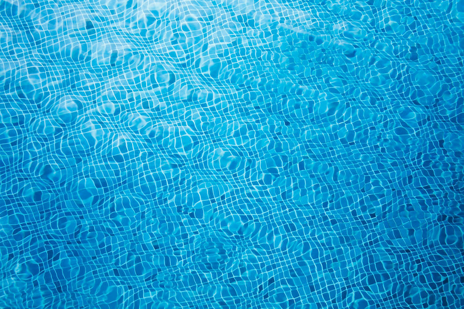 3030907.jpg