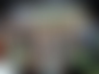 Leão janta Jacaré
e traz tri para Sobradinho