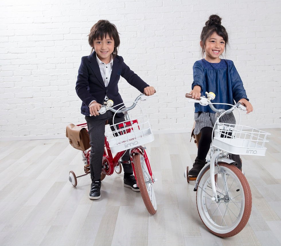 Miniatura: iimo Kid's Bicycle