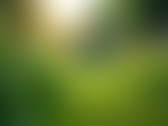 The Importance of Sustainable Living in Today's World