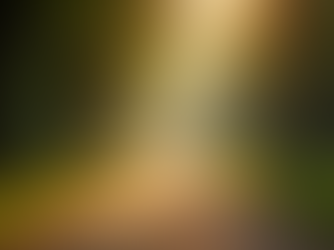 The Power of Mindfulness in Everyday Life