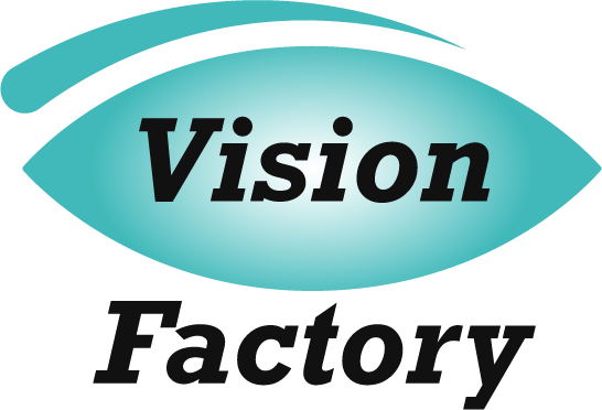 Vision Factory logo
