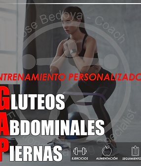 PROGRAMA GAP.png